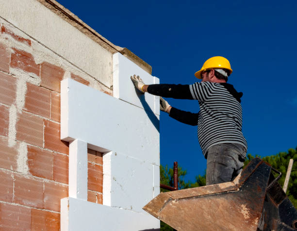Best Cellulose Insulation in South Pasadena, FL
