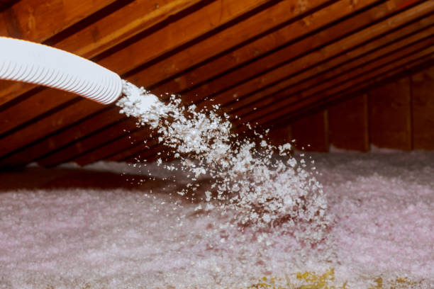 Best Commercial Insulation in South Pasadena, FL