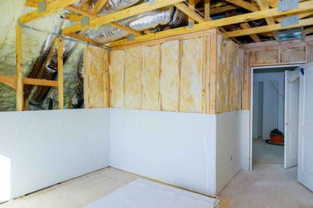 Best DIY Insulation Kits and Guidance in South Pasadena, FL