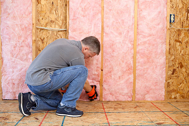 Best Specialized Insulation Services in South Pasadena, FL