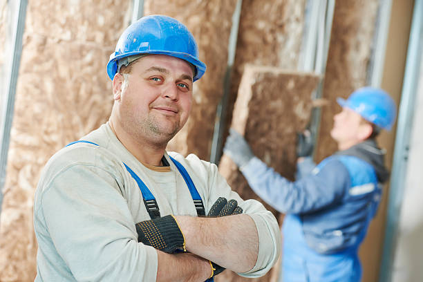 Best Geographic-Specific Insulation Services in South Pasadena, FL