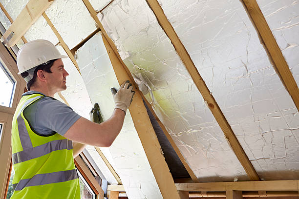 Best Specialized Insulation Services in South Pasadena, FL