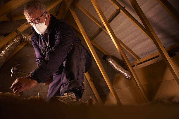 Best Spray Foam Insulation in South Pasadena, FL