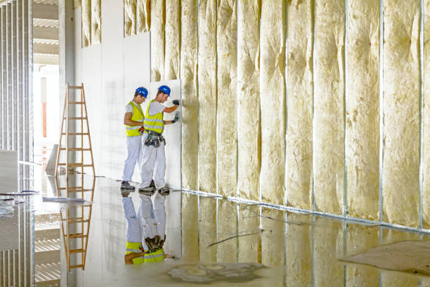 Best Eco-Friendly Insulation in South Pasadena, FL